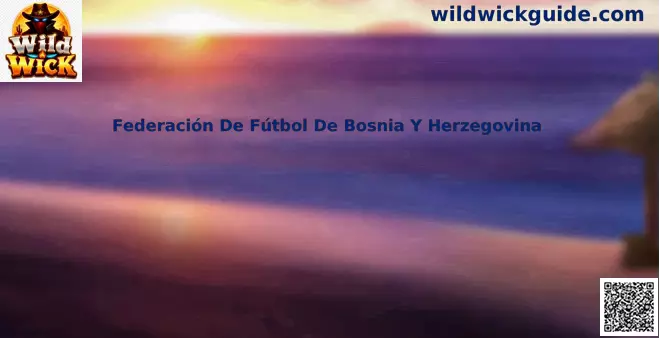 Federación De Fútbol De Bosnia Y Herzegovina
