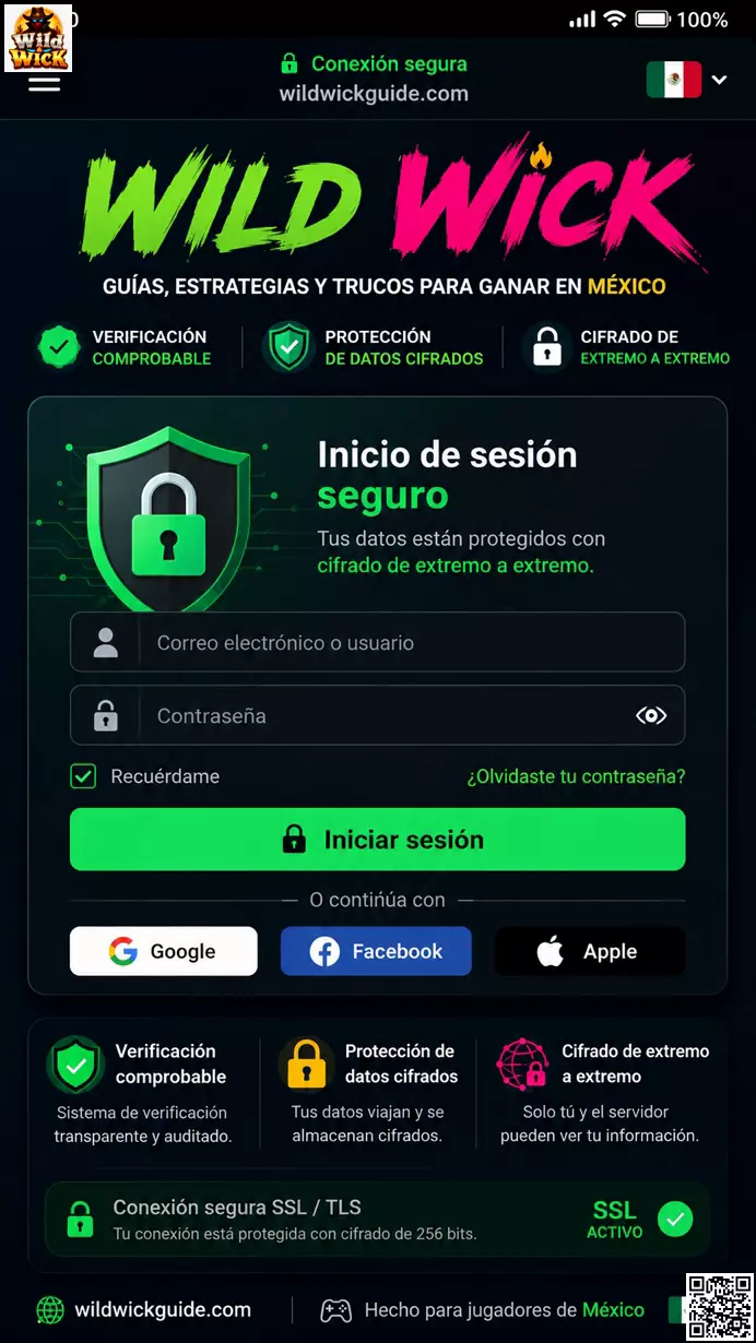 Seguridad de Datos en Wild Wick